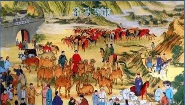 重走茶马古道感受马帮岁月,茶马古道之马帮篇