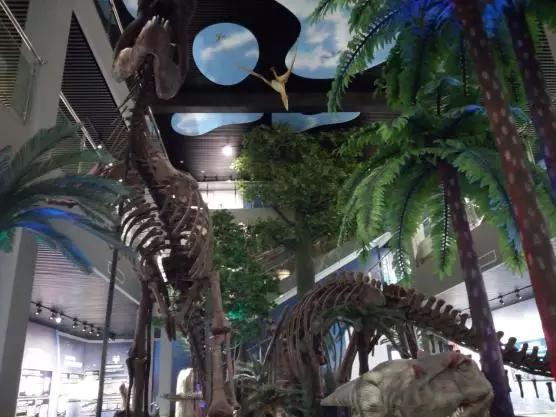 桂林理工大学怎么样,桂林理工大学好不好