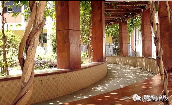 大源片区小学排名,高新区大源片区学校排名