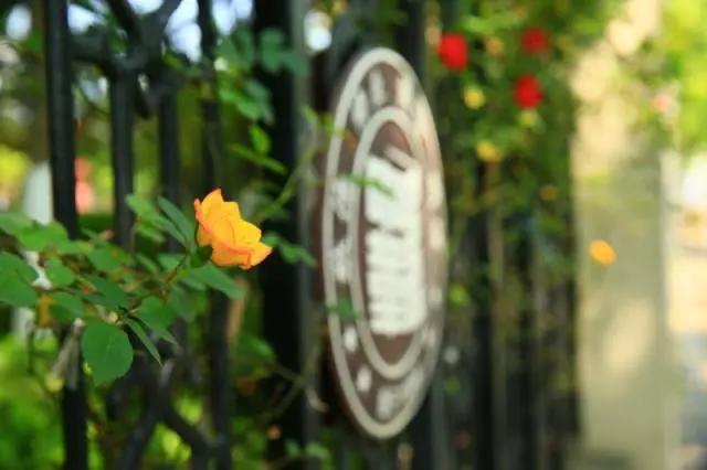 南京十所最好的中学,南京市最牛的中学