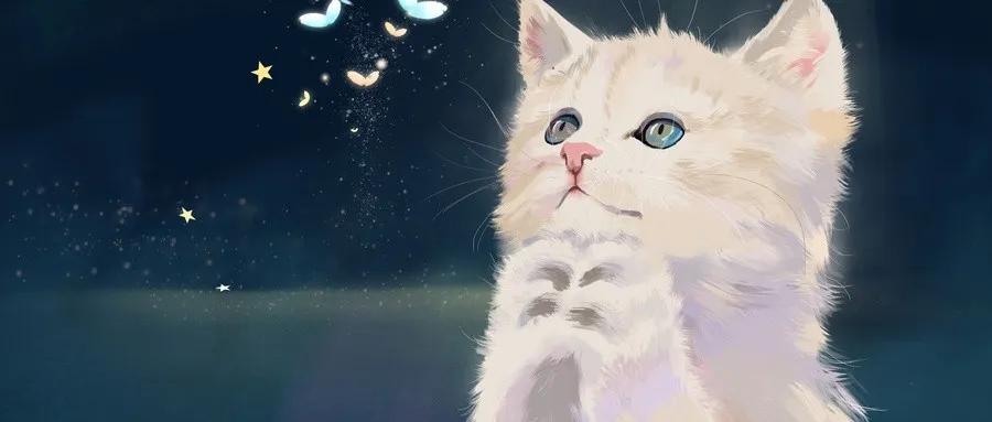 张仲景治好抑郁症方子,后浪中医经典励志语录