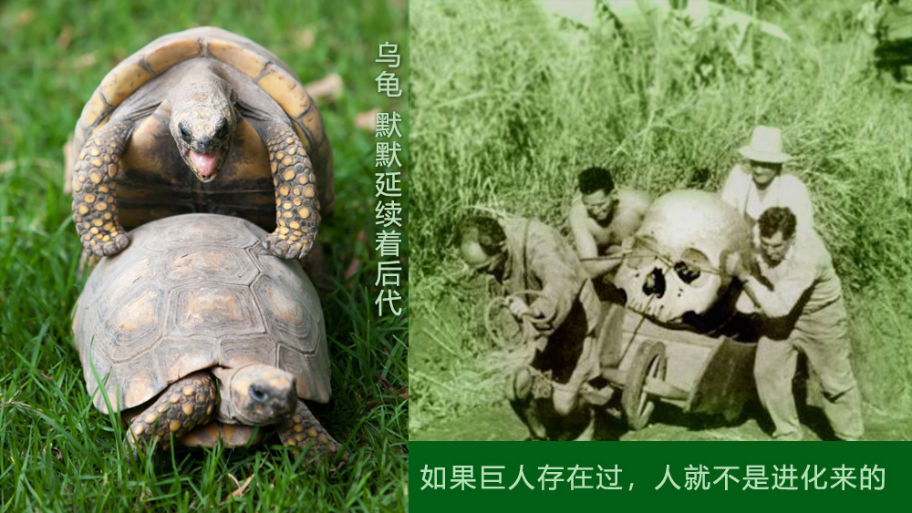 宇宙编年史中,科学流氓为何不爱骚弄人类起源“敏感”区域