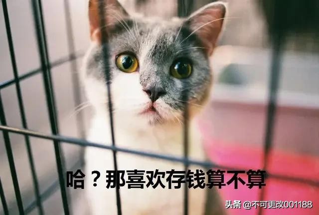 什么是松鼠病,松鼠病了有什么症状