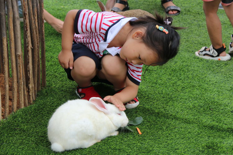 绿意绕绕一路行