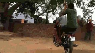 这两位大哥真牛，不知这树还能让他们爽多久