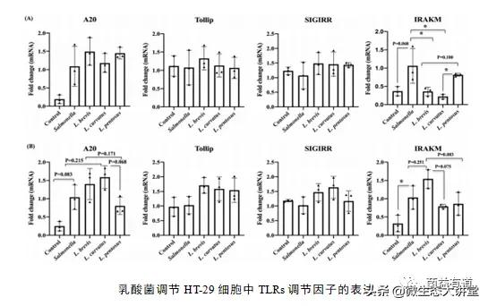 乳酸菌治疗肠炎吗,沙门氏菌感染吃益生菌管用吗