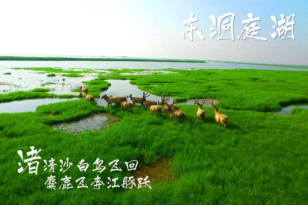 岳阳是湖南第二城市吗,岳阳第一大城市是哪里