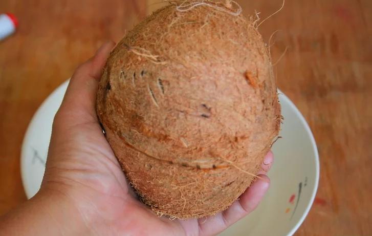 椰子壳怎么能轻松打开,带有盖子的椰子怎么打不开