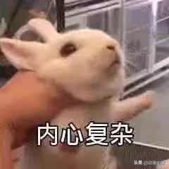 那些年的非主流网名,你都用过什么非主流网名