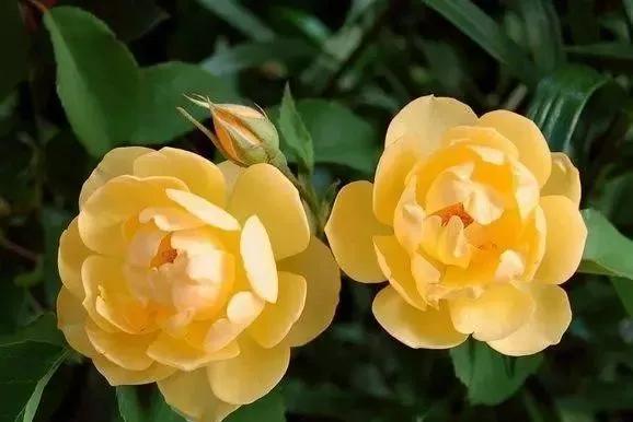 每天学习一点点女性小常识,每天学习一点点科普一下