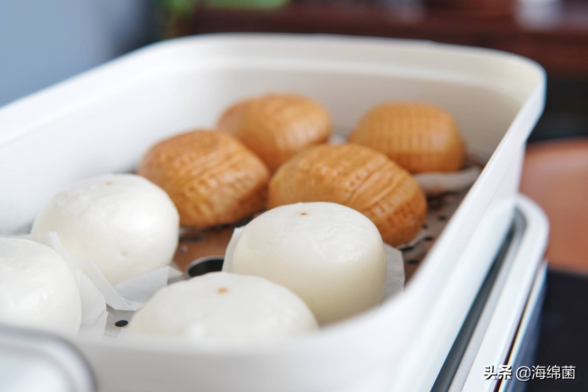 bolali博拉利多功能蒸汽料理锅,蒸汽桑拿锅测评