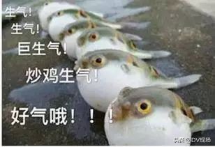 9岁娃吃了这道菜心脏骤停！医生：比氰化钠毒1200倍