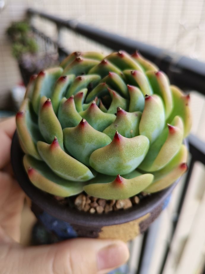 两个月过去了，十元以下的小东西都怎么样了？