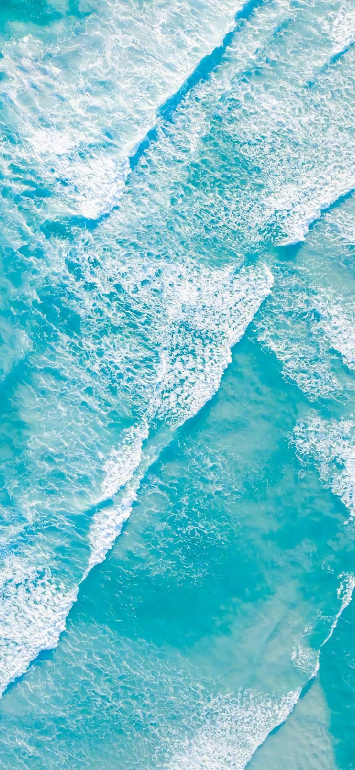 小豹子壁纸可爱图片,小豹壁纸