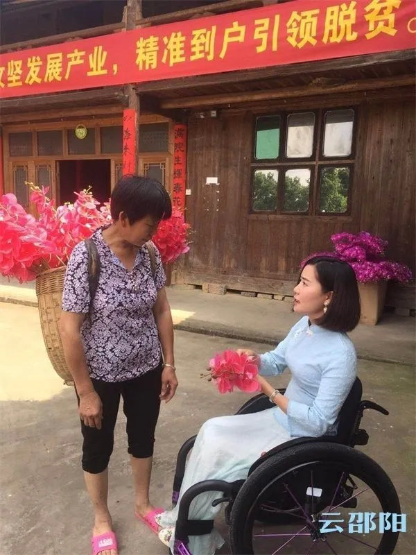 杨淑亭性格,杨淑亭的事迹