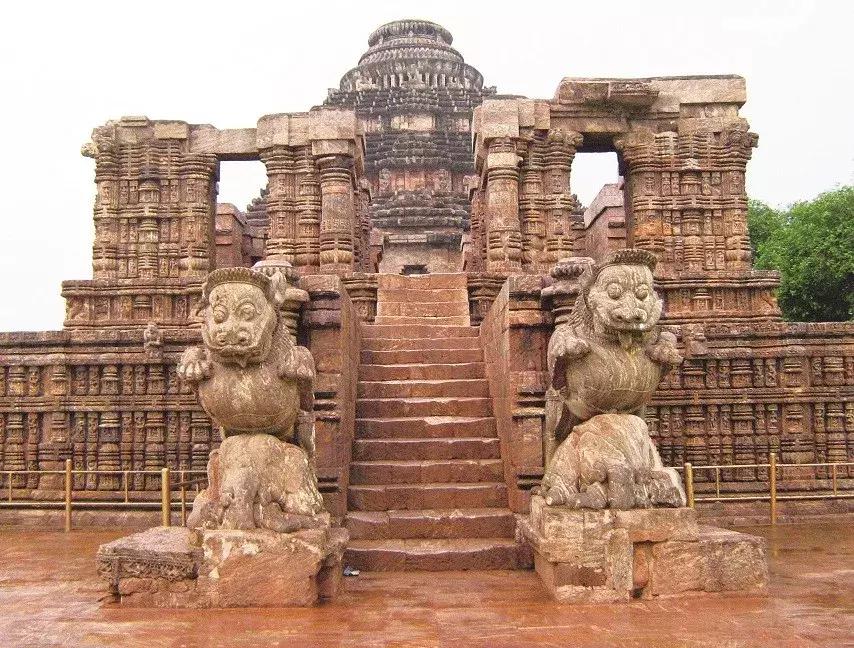 美洲狮在热带雨林,美洲狮在热带雨林会留下什么踪迹
