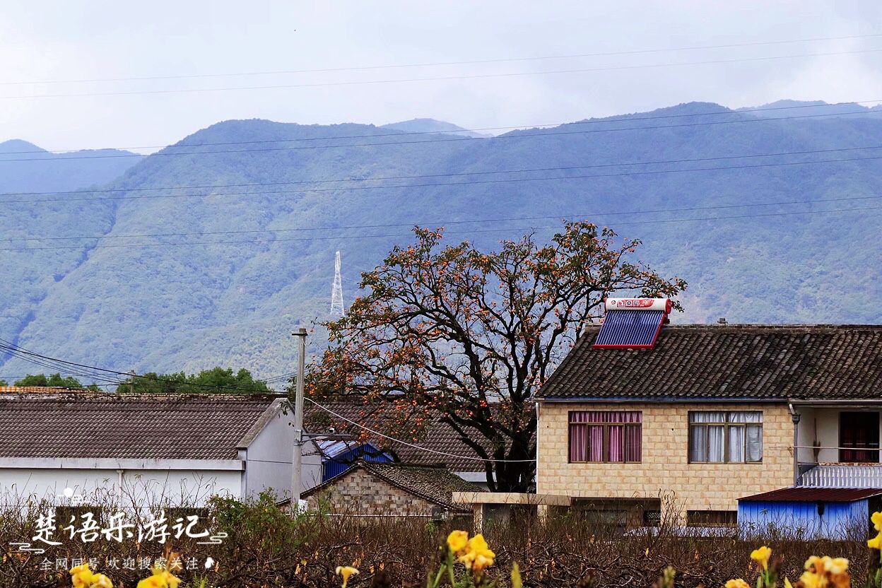 浙江宁波古村图片,浙江宁波有一个古村依山傍水