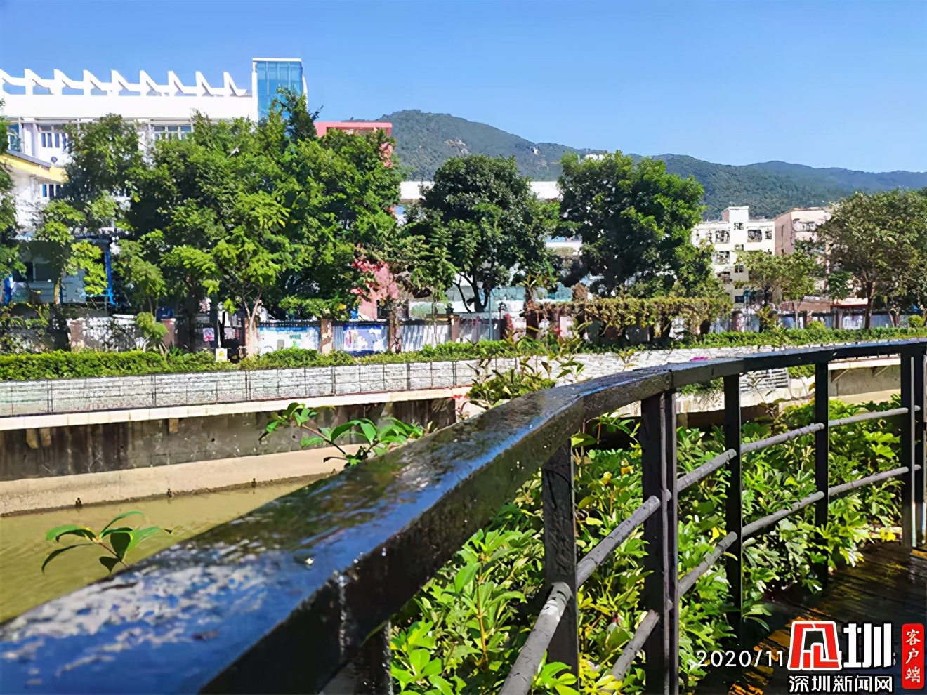 民生盐田丨盐田河护栏脱漆网友反映后迅速获解决