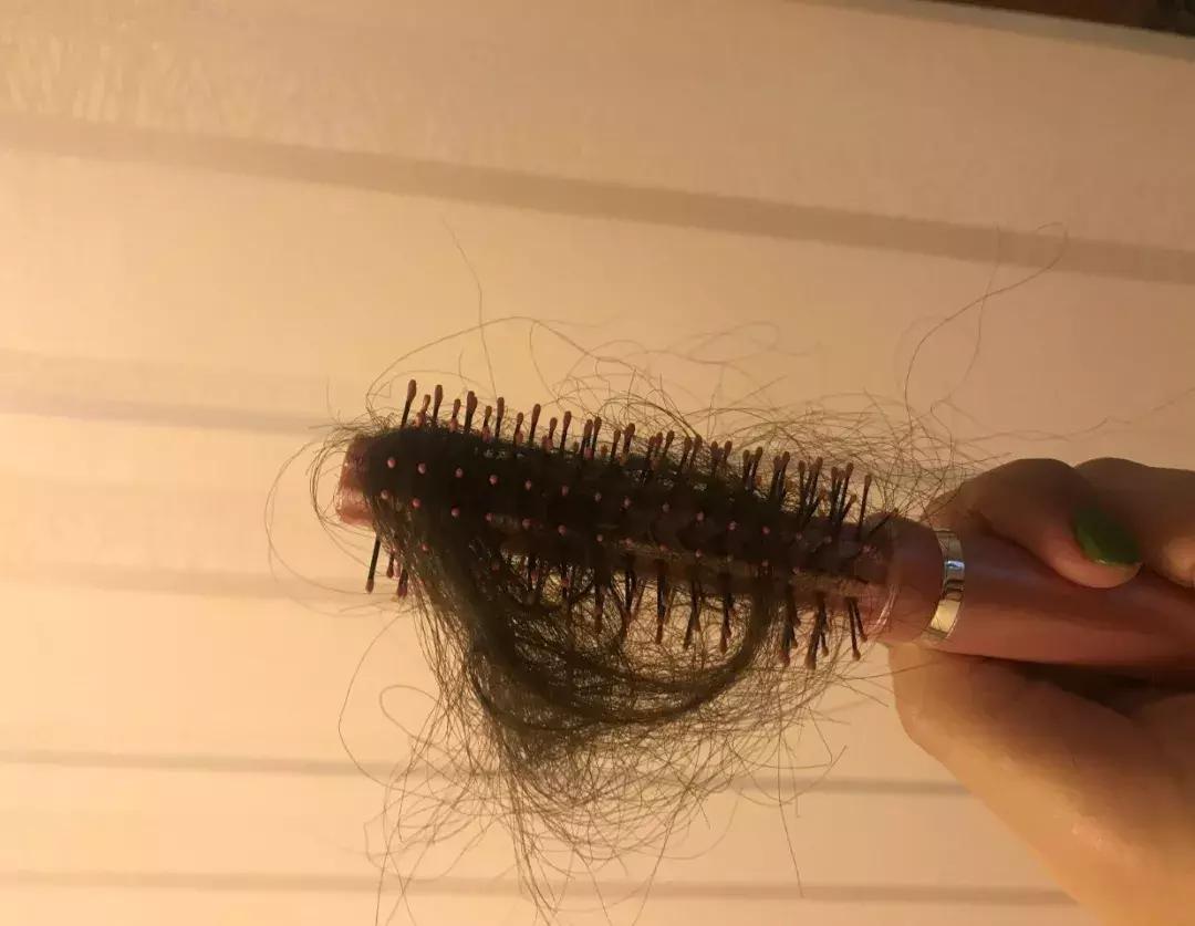 眉毛印章？蔬果蒸脸器？求求你们别再交智商税了！！！