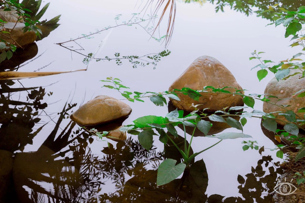 隐藏在深圳的风景,神秘古堡是拍照打卡圣地