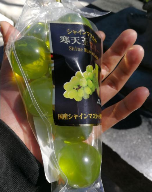 一周狼狈吃了两根山葵的人，终于去了安昙野大王山葵农场