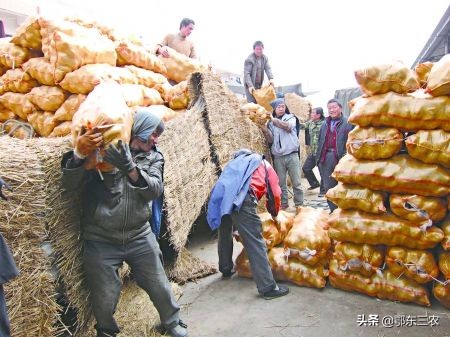 不见兔子不撒鹰的幽默句子,不见兔子也不撒鹰歇后语