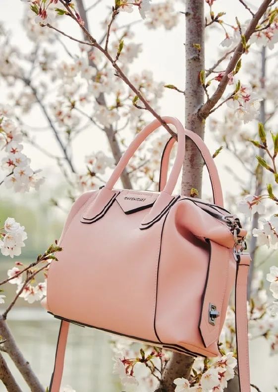 晖货清单｜520礼物收不停，进来一起吃柠檬