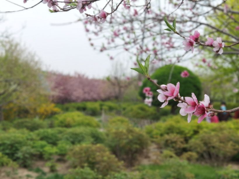 我眼中的美好城市,我眼中的城市是最美的