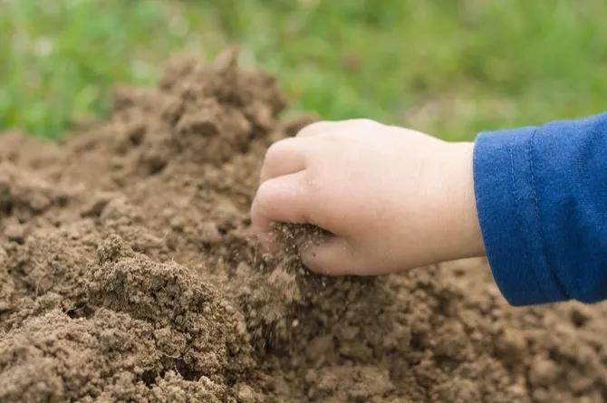 脾胃不好最怕三种食物,脾胃虚能吃土吗