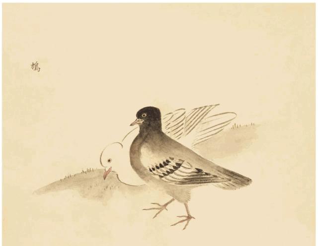 为什么说,现代人一定要读《诗经》