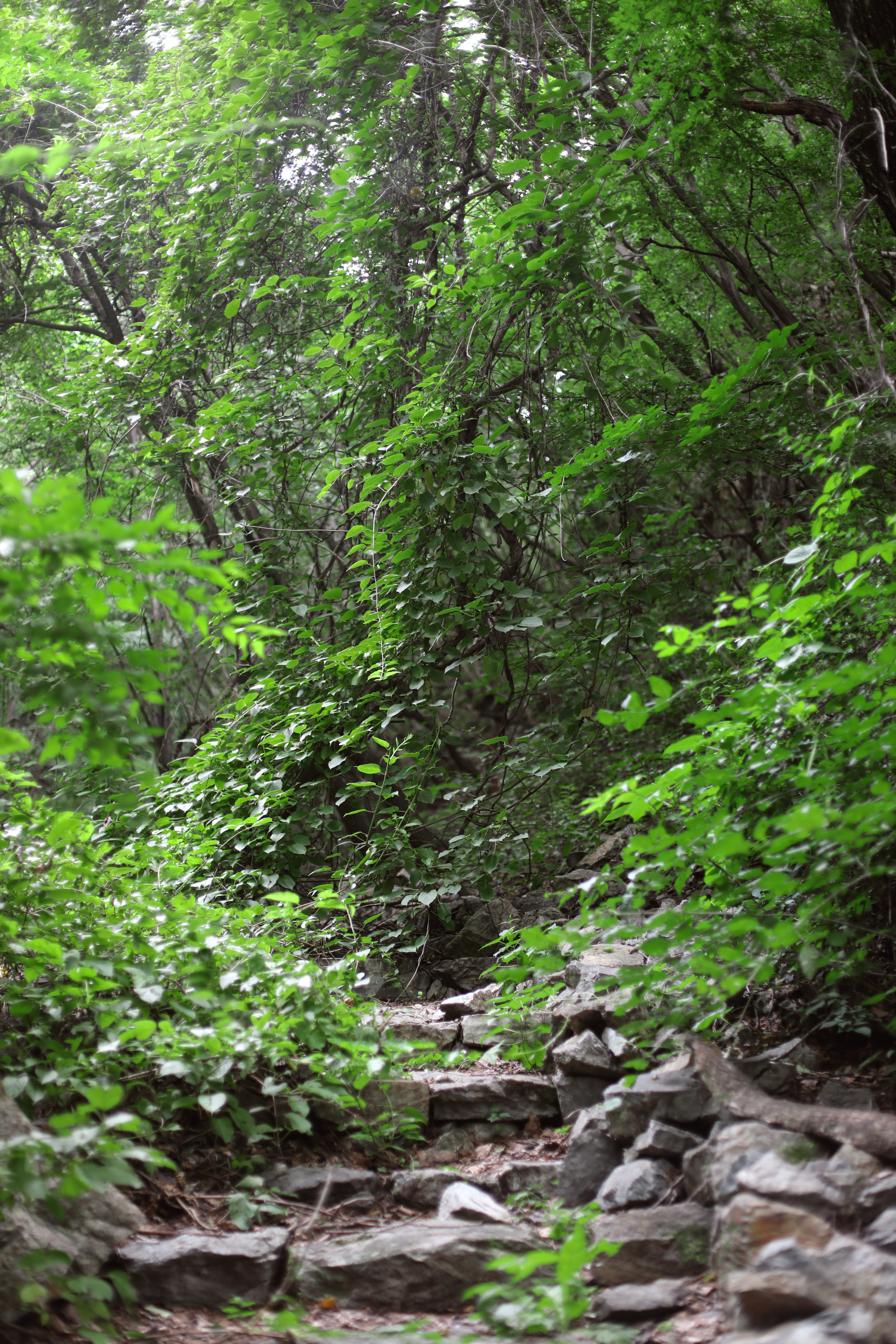 京郊十条登山步道推荐,房山蝴蝶谷登山步道