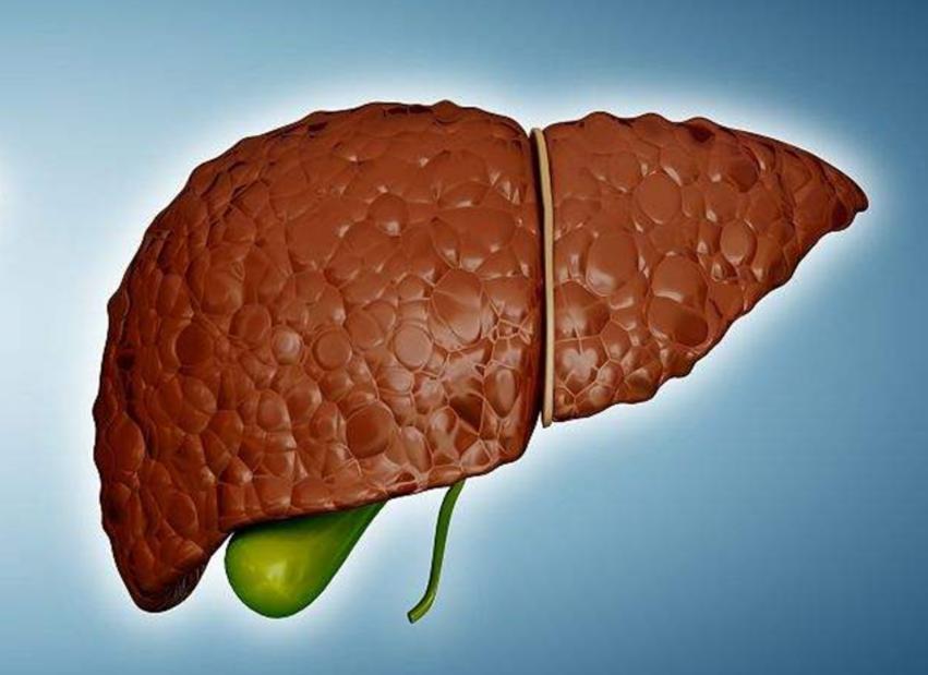 肝硬化早期泡什么中药茶,中药治疗肝硬化的绝招