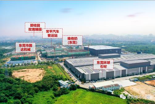 东莞常平碧桂园玫瑰臻园,东莞疫情最新楼盘