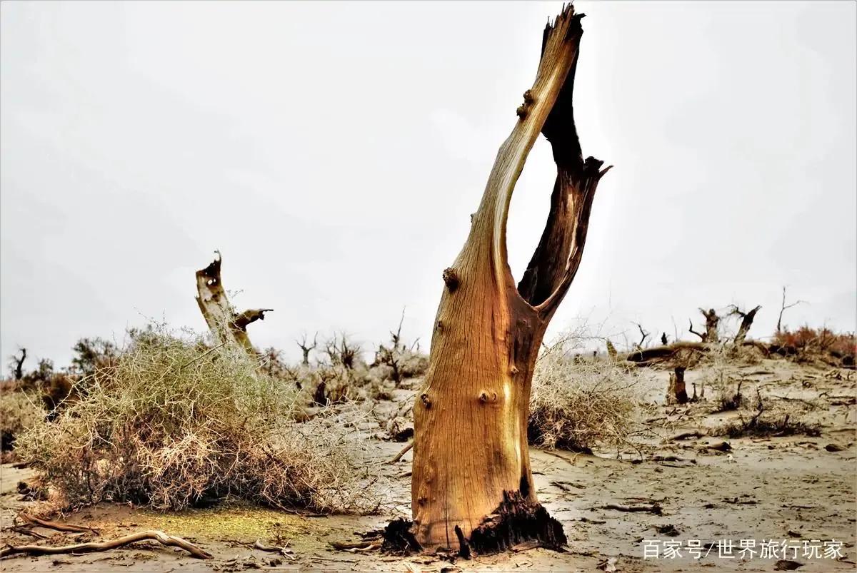 矿山风云评书大全,矿山风云录第一部