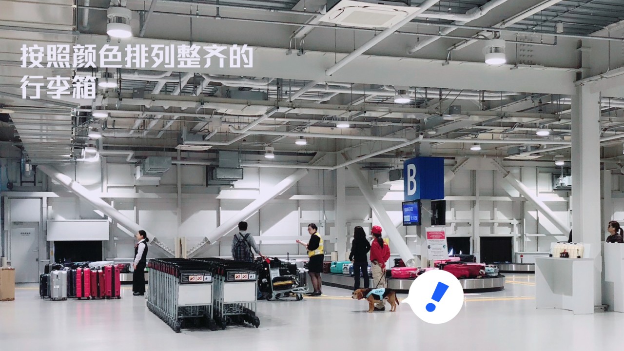 超级妈妈带娃日常生活,超级妈妈带5个孩子