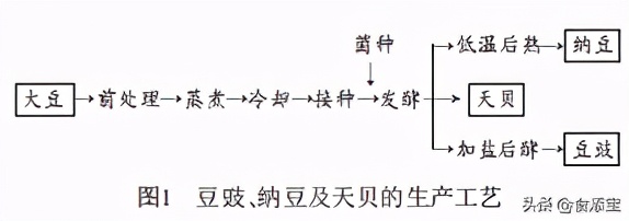 大豆纳豆,天贝豆豉纳豆有什么区别