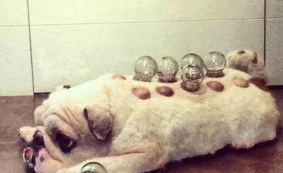 护肤美白祛痘抗皱,祛痘有效成分有哪些护肤品