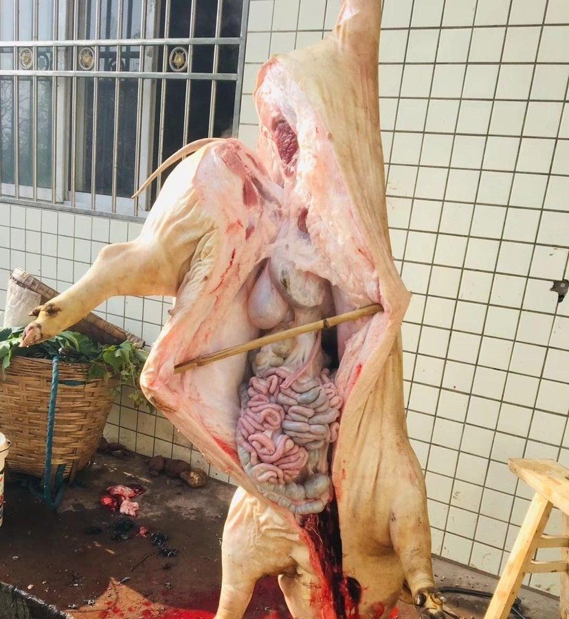 梦回丹阳之追忆原唱,梦回丹阳文旅