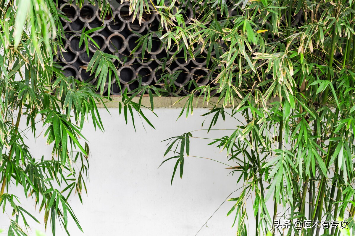 每天学习一味中药玉竹,每天学习一味中药