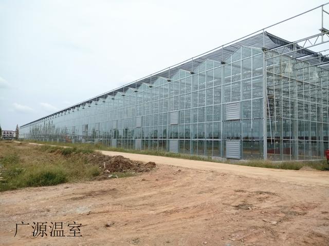 你见过高端玻璃温室大棚吗,现代农业玻璃温室大棚简介