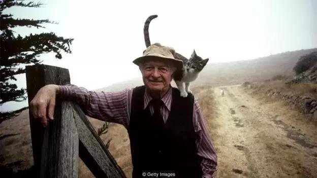 2元维生素c和108元的区别,2元的维生素和100元维生素的区别