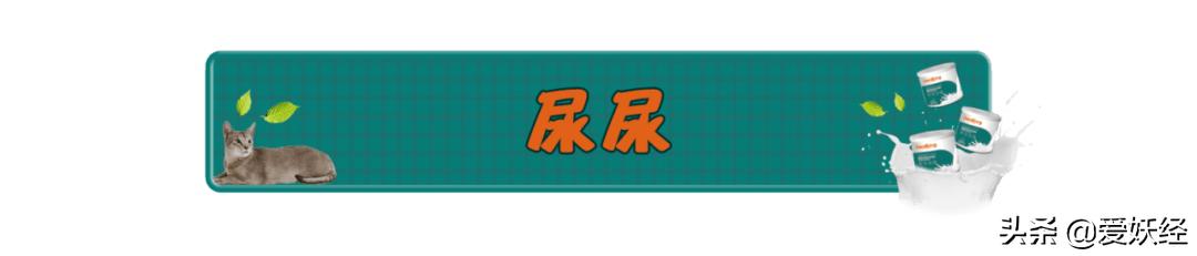 reddog红狗羊奶粉测评,红狗狗狗羊奶粉测评