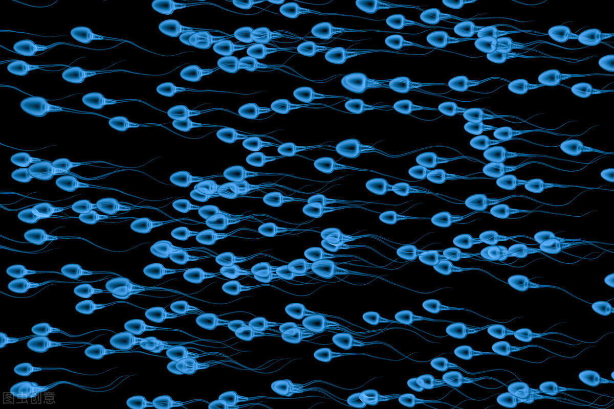 科学家发现精子新能力,科学家精子和卵子相合有多不容易