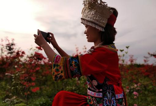 川河盖上的“映山红”开了“周末”来一场花的“艳”遇