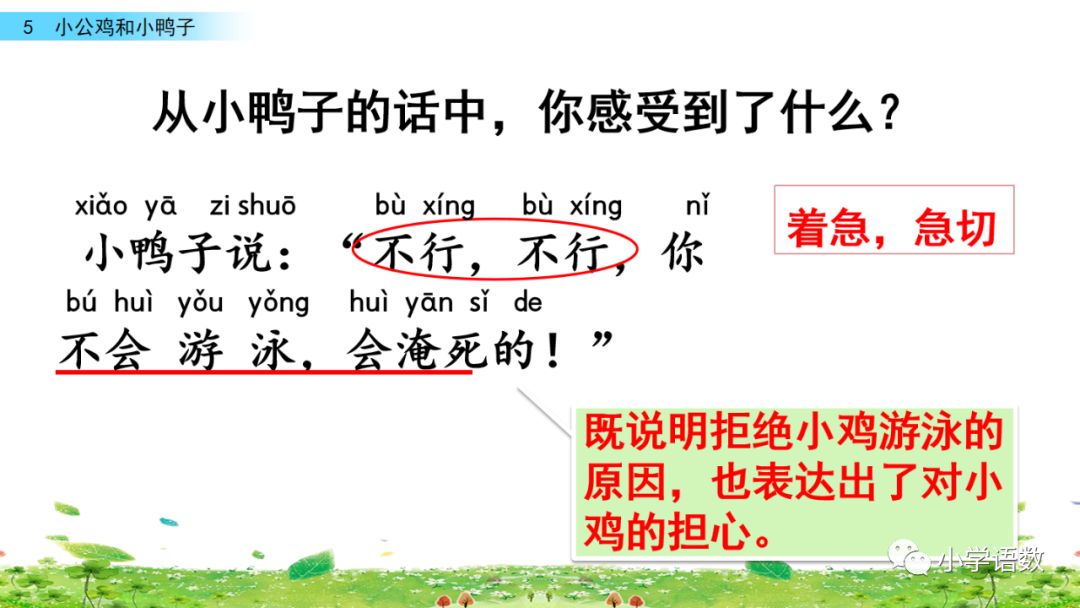 小公鸡和小鸭子一年级下册视频,一年级下语文小公鸡和小鸭子讲解