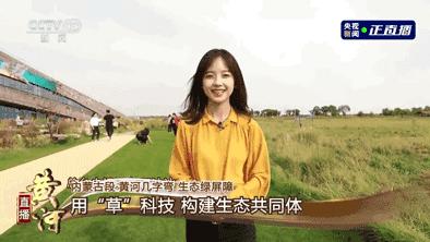 王冰冰庄晓莹张扬跳舞,央视记者庄晓莹和王冰冰