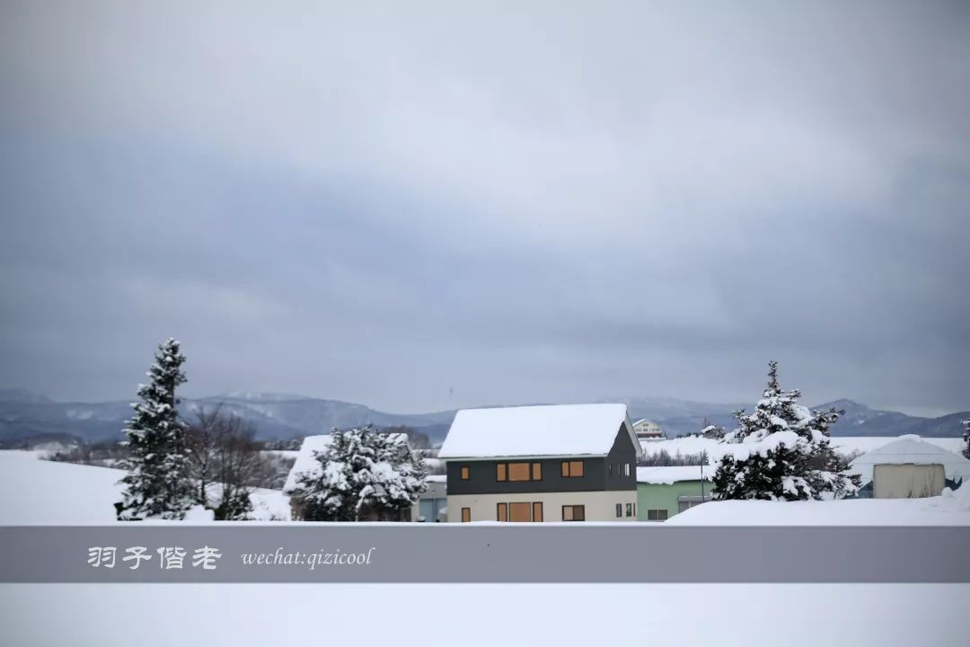 不会日语日本自由行好吗,不会日语的北海道自由行攻略