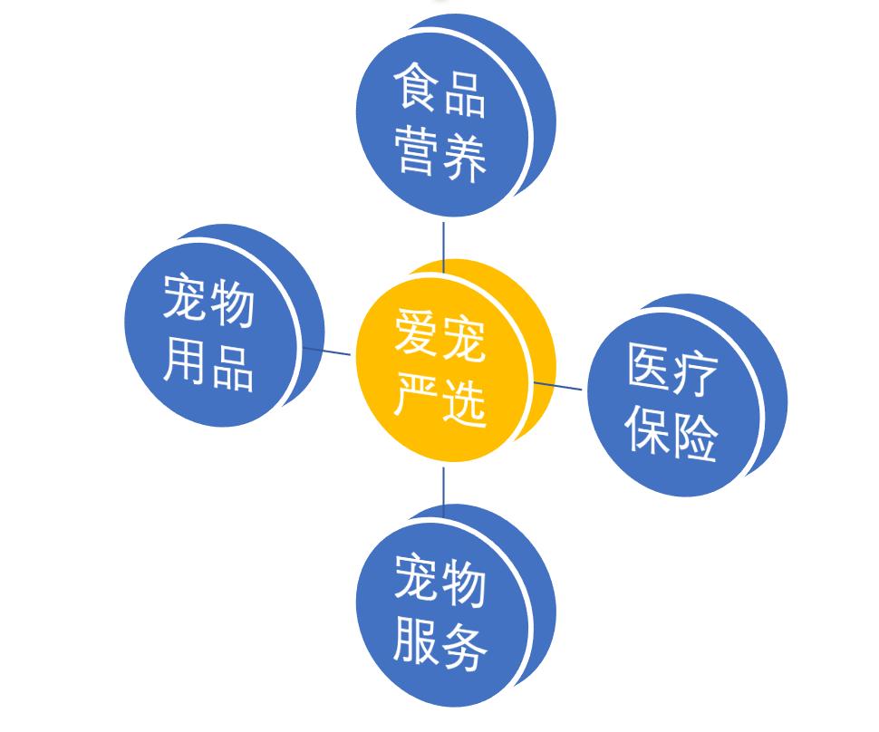 宠物新零售模式大全,宠物新零售新模式