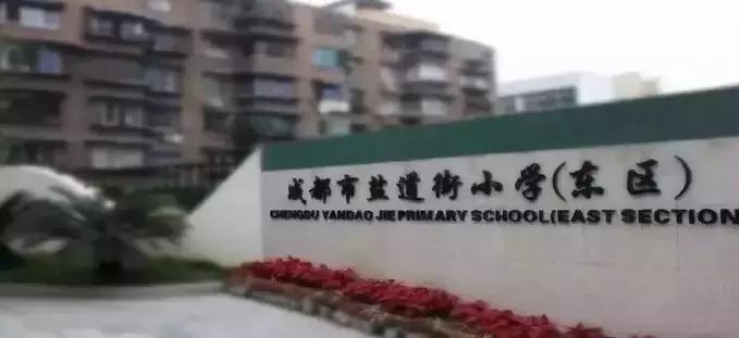 盐道街小学是五朵金花吗,五朵金花深度解析