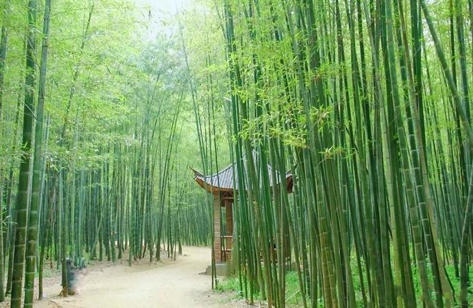 山东最安静的海边小镇,山东消费最低的海边小镇